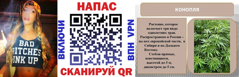 Купить закладки  Ипатово  Бошки Шишки SATIVA & INDICA 